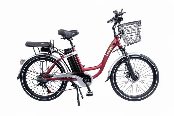 E-Bike L Bordô
