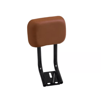 Encosto Carona E-bikeS