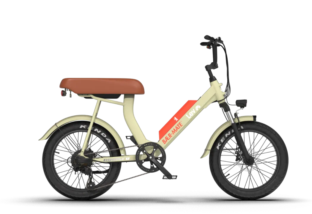 Baer-Mate