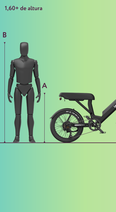 Cruiser X dimensões para ciclistas a partir de 1,60m