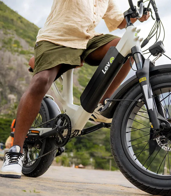 Cruiser X Full Suspension