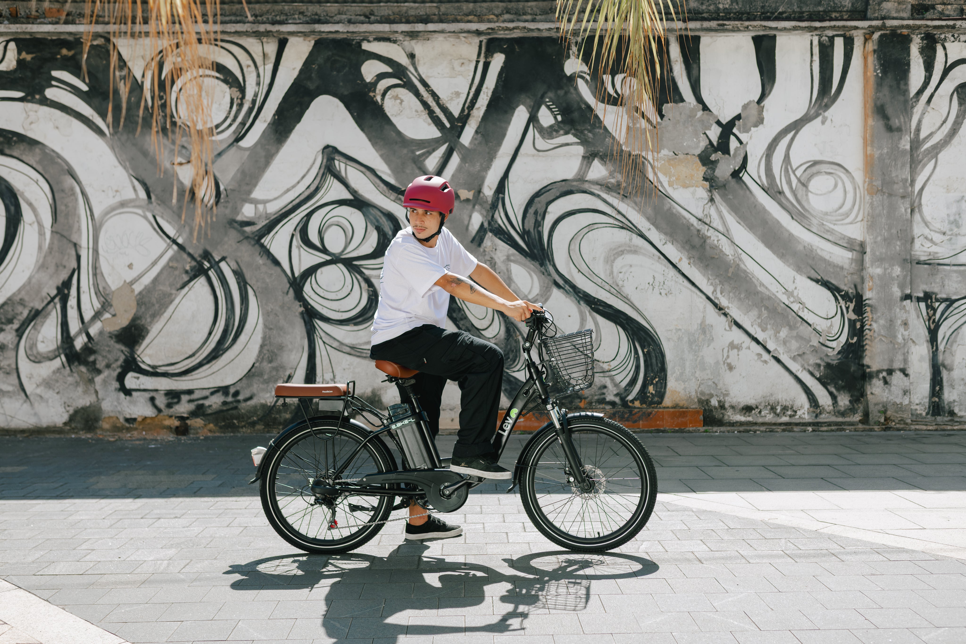 E-Bike L