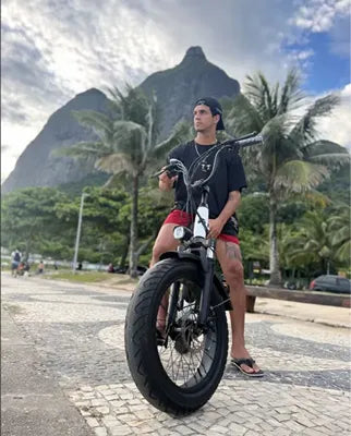 Lev lifestyle 26